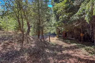 27001 State Hwy 42, Camas Valley, OR 97416 - Photo 11