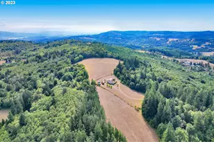 66502 Doetsch Rd, Deer Island, OR 97054 - Photo 41