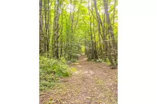 66502 Doetsch Rd, Deer Island, OR 97054 - Photo 35