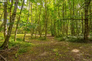 66502 Doetsch Rd, Deer Island, OR 97054 - Photo 33