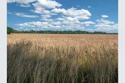 Nw Scotch Church Rd, Hillsboro, OR 97124 - Photo 3