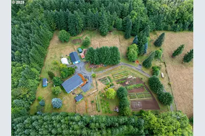 133 Lavender Ln, Cinebar, WA 98533 - Photo 1