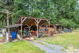 133 Lavender Ln, Cinebar, WA 98533 - Photo 9