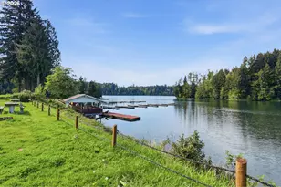 132 Lake Terrace Dr, Mossyrock, WA 98564 - Photo 45