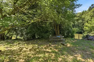 46760 Hwy 242, Myrtle Point, OR 97458 - Photo 39