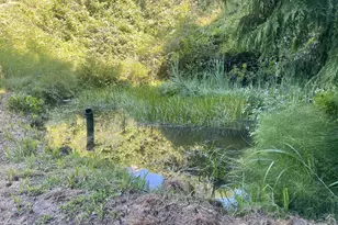 63533 Flanagan Rd, Coos Bay, OR 97420 - Photo 15