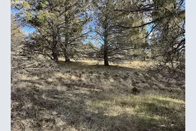 Canvasback Dr #35, Bonanza, OR 97623 - Photo 5