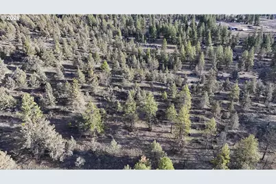 Canvasback Dr #35, Bonanza, OR 97623 - Photo 41