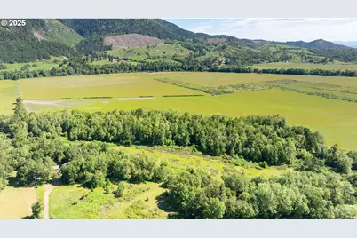 687 Hubbard Creek Rd, Umpqua, OR 97486 - Photo 21