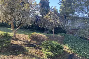 3120 W 19th Ave, Eugene, OR 97405 - Photo 5
