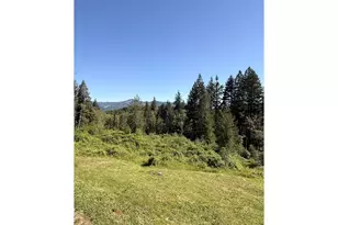 7300 NE 410th St, La Center, WA 98629 - Photo 39