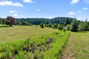 49 Echo Glen Rd, White Salmon, WA 98672 - Photo 45