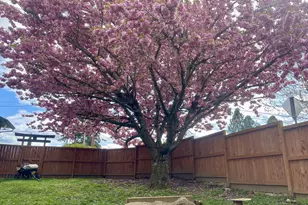 3004 NE 54th St, Vancouver, WA 98663 - Photo 43