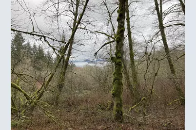 Ne 197th Ct, Amboy, WA 98601 - Photo 1