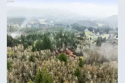 Ne 197th Ct, Amboy, WA 98601 - Photo 13