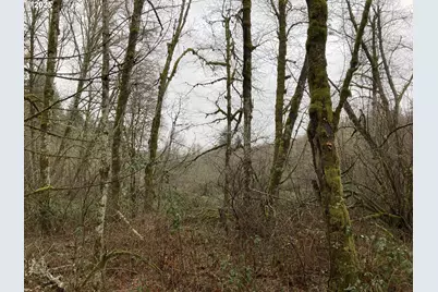 Ne 197th Ct, Amboy, WA 98601 - Photo 5