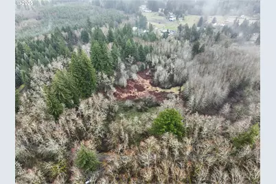 Ne 197th Ct, Amboy, WA 98601 - Photo 11