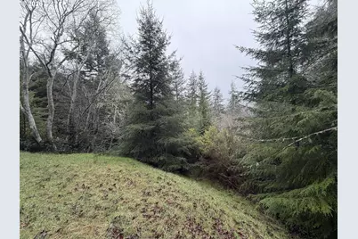 61528 Edwards Mill Rd, Coos Bay, OR 97420 - Photo 19