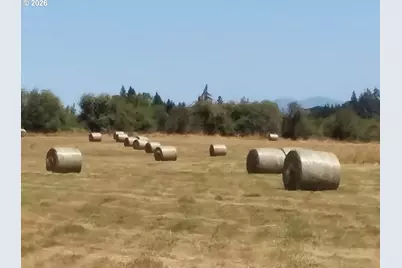 570 Drews Prairie Rd, Winlock, WA 98596 - Photo 5