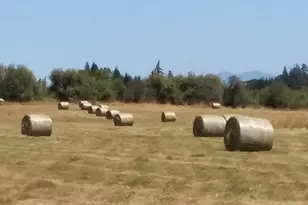 570 Drews Prairie Rd, Winlock, WA 98596 - Photo 5