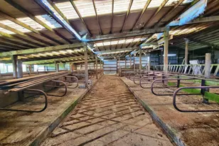 570 Drews Prairie Rd, Winlock, WA 98596 - Photo 45