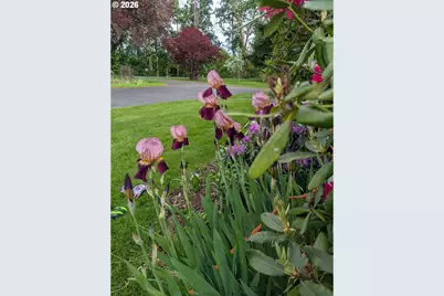 570 Drews Prairie Rd, Winlock, WA 98596 - Photo 13