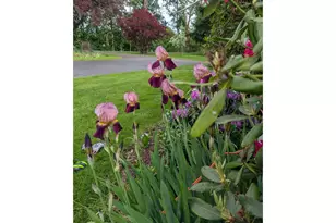 570 Drews Prairie Rd, Winlock, WA 98596 - Photo 13