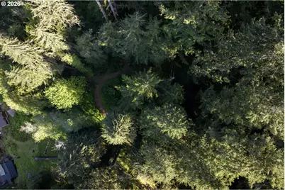 1901 Loon Lake Rd, Reedsport, OR 97467 - Photo 21
