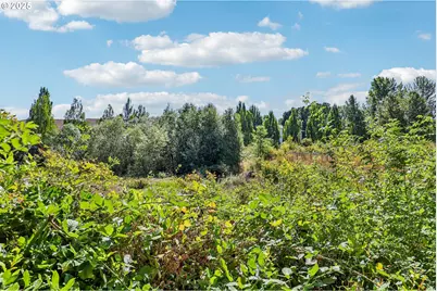 881 NE Wheelock Pl, Beaverton, OR 97006 - Photo 23