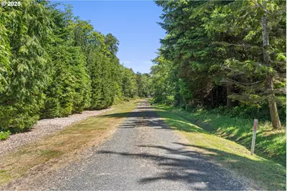 441 Bay Center Rd Rd, Bay Center, WA 98527 - Photo 43