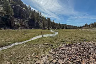 25405 SE Bear Creek Rd, Prineville, OR 97754 - Photo 47