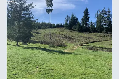 54885 Arago Fishtrap Rd, Myrtle Point, OR 97458 - Photo 15