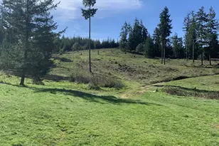 54885 Arago-Fishtrap Rd, Myrtle Point, OR 97458 - Photo 15