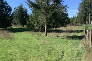 54885 Arago-Fishtrap Rd, Myrtle Point, OR 97458 - Photo 5