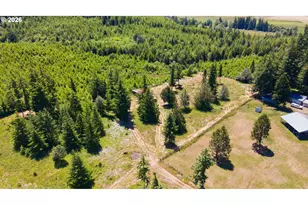 54885 Arago-Fishtrap Rd, Myrtle Point, OR 97458 - Photo 31