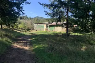 54885 Arago-Fishtrap Rd, Myrtle Point, OR 97458 - Photo 19