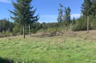 54885 Arago-Fishtrap Rd, Myrtle Point, OR 97458 - Photo 21