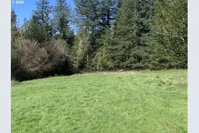 54885 Arago Fishtrap Rd, Myrtle Point, OR 97458 - Photo 3