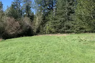 54885 Arago-Fishtrap Rd, Myrtle Point, OR 97458 - Photo 3