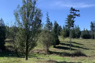 54885 Arago-Fishtrap Rd, Myrtle Point, OR 97458 - Photo 23