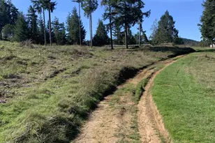 54885 Arago-Fishtrap Rd, Myrtle Point, OR 97458 - Photo 17