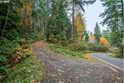 87250 Cedar Flat Rd, Springfield, OR 97478 - Photo 43