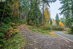 87250 Cedar Flat Rd, Springfield, OR 97478 - Photo 43