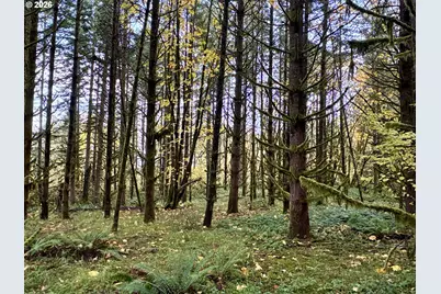 Ingram Rd, Lebanon, OR 97355 - Photo 23