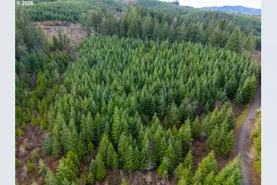 Ingram Rd, Lebanon, OR 97355 - Photo 37