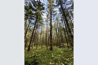 Ingram Rd, Lebanon, OR 97355 - Photo 17