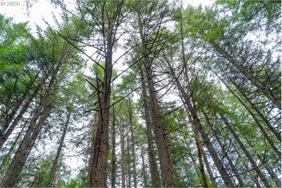 Ingram Rd, Lebanon, OR 97355 - Photo 35