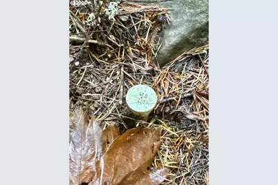 Ingram Rd, Lebanon, OR 97355 - Photo 29