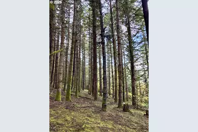 Ingram Rd, Lebanon, OR 97355 - Photo 27