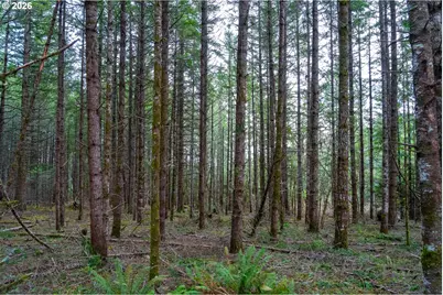 Ingram Rd, Lebanon, OR 97355 - Photo 13